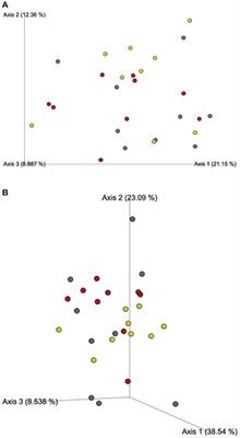 White and Red Sorghum as Primary Carbohydrate Sources in Extruded Diets of Felines